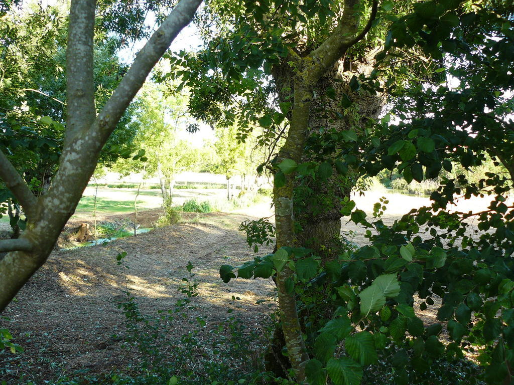 Villa Les Plénitudes du Rivage Saint-Vincent-sur-Jard Habitación foto