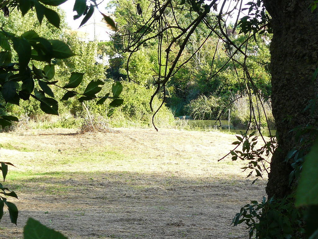Villa Les Plénitudes du Rivage Saint-Vincent-sur-Jard Exterior foto